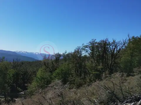 Terreno en Venta de 10032,0 m2