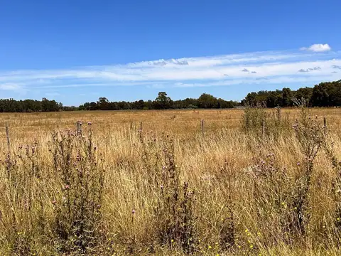 Terreno en Venta 96  mts Fondo