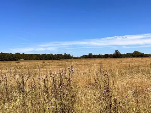 VENTA LOTE DE 3600M2 ESTACION CAMET FINANCIADO