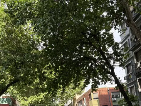 Ruy Díaz y Bradnsen