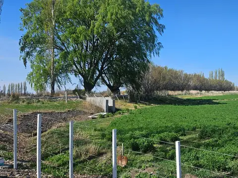 Chacra 40 has en Chubut \u002D Feed Lot con Excelentes Instalaciones \u002D Superficie 35 has