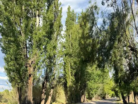 LOTE  ESQUINA PARA INVERSION EN GUAYMALLEN.