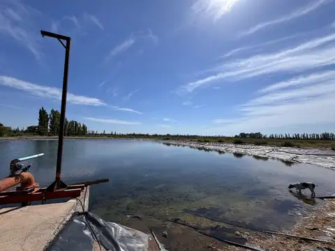 VENTA FINCA EN SAN RAFAEL EN PRODUCCION