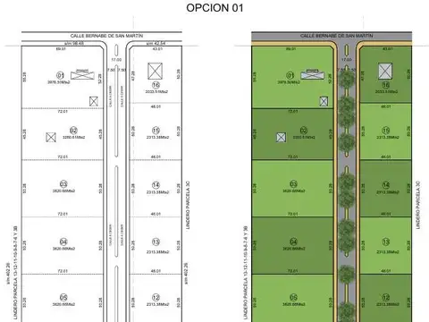 4 Ha. Espectaculares para subdividir y realizar un loteo.