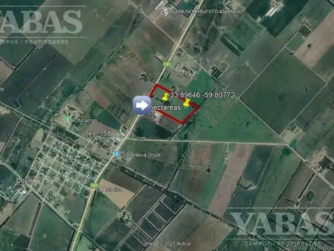 VENTA - CAMPO - 16 HECTAREAS - SAN PEDRO