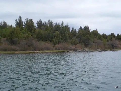 Campo de 423 Has en Venta - Lago Lezama