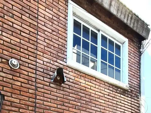 Depto Tipo Casa 2 ambientes con 1 baño