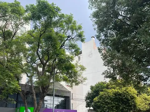 Isabel La Católica 900