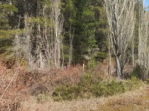 Chacra en El Bolsón - Ideal Emprendimiento Turístico