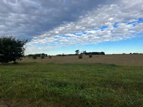 La Victoria Country Golf Club 100