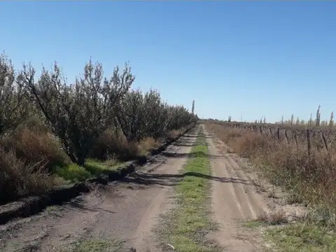 Quinta en Venta en San Rafael, USD 660.000