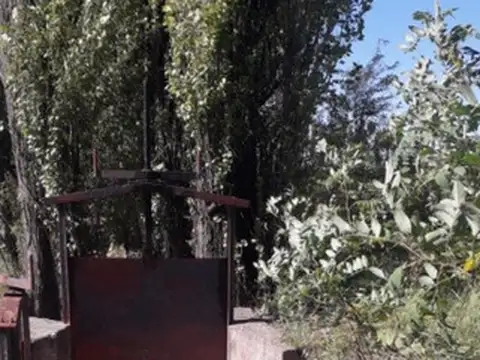 ATENCION IDEAL FEEDLOT, VIÑEDOS, AJOS, PASTURAS, DURAZNOS.