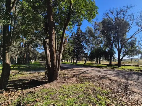 Colectora Sur Acceso Oeste 100