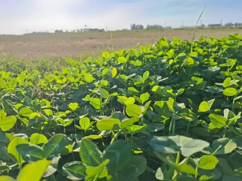 Terreno en Venta en Lujan, USD 34.000