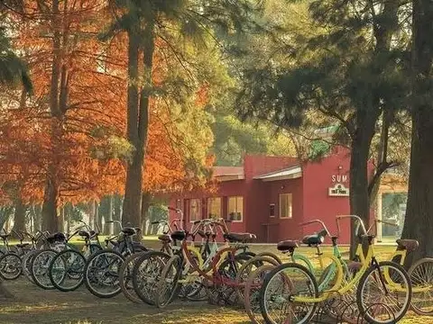 Terreno en Venta de 1000,0 m2