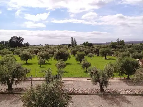 Terreno en Venta de 500,0 m2