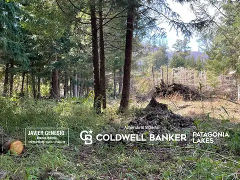 VENTA Lote PH 1475,80 m2 Puerto Manzano a metros del Sendero del Río Bonito Villa la Angostura