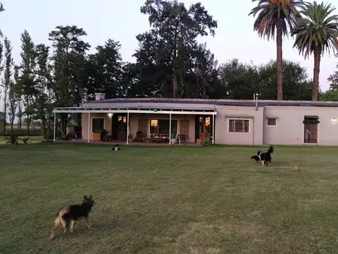 Campo en Venta de 40  ha