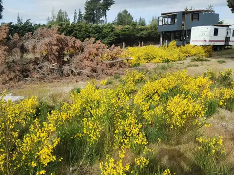 Venta Lote en Dina Huapi