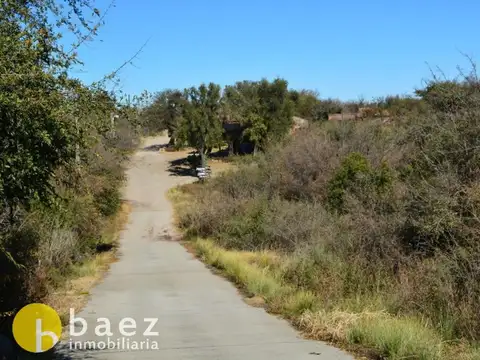 LOTE DE 1962M2 EN CARPINTERIA