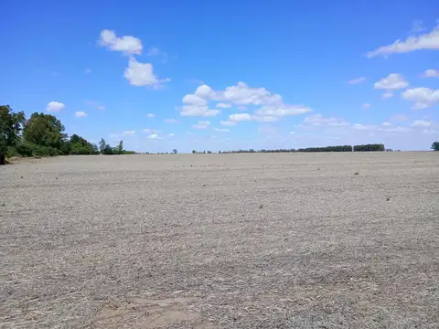 Campo en Gobernador Castro