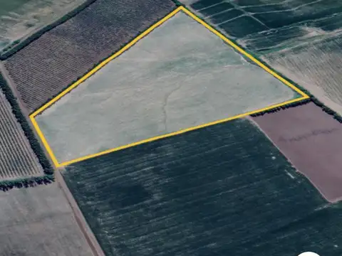 Campo en Gobernador Castro