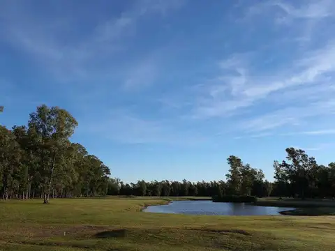 Terreno en Venta de 1100,0 m2