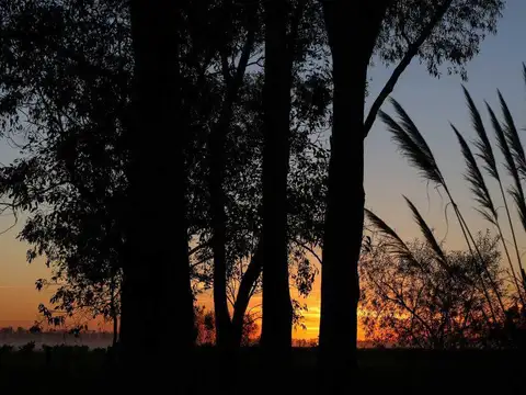 Terreno - Campo Timbo - Golf - Tenis - Spa