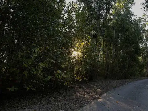 Terreno en Club de Campo y Golf Campo Timbó Ruta 11 km. 354 Oliveros.