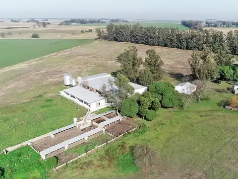 Miramar - 10 has. Fracción agrícola con instalaciones para cría porcina ciclo completo.