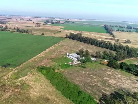 Miramar - 10 has. Fracción agrícola con instalaciones para cría porcina ciclo completo.