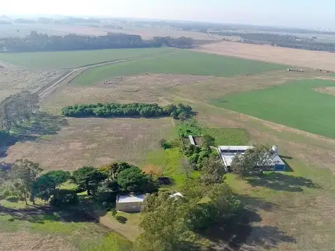 Miramar - 10 has. Fracción agrícola con instalaciones para cría porcina ciclo completo.