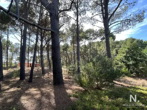 Terreno en Venta en Montoya, USD 130.000