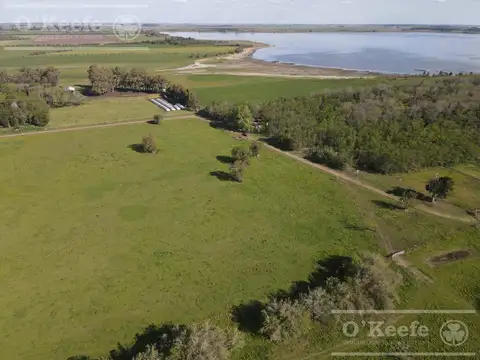 CAMPO DE 134 HAS EN VENTA - ESTANCIA HISTÓRICA EN CHASCOMUS.