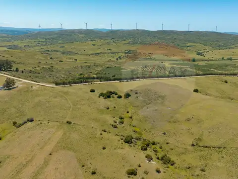 Chacra en venta entre R 39 y 12 - Oportunidad 