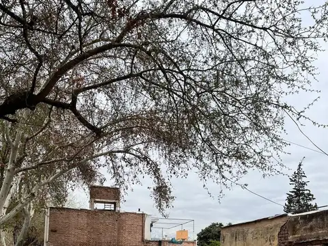 Terreno en Venta de 220,0 m2