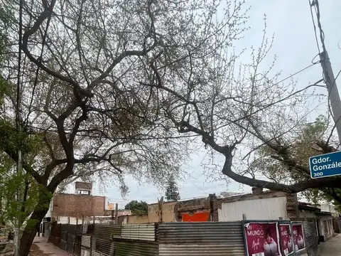 Terreno en Venta 22  mts Frente