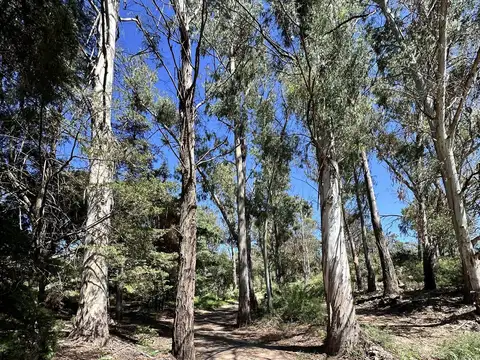 Venta Campo de 1,7 hectareas, con Casa y Pileta en La Sierrita, Villa del Dique, Cordoba