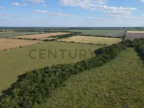 Sauce de Luna , Piso 0