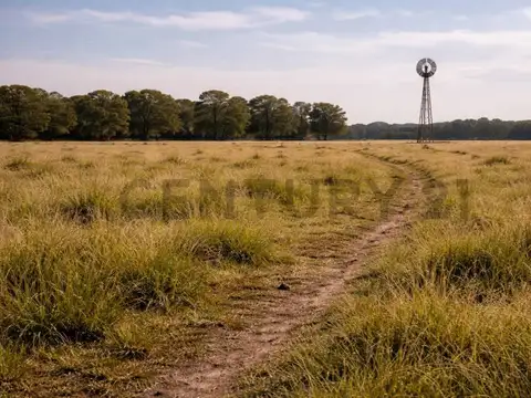 Sauce de Luna , Piso 0