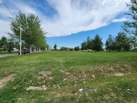 Boulevard Tierra de Sueños 100