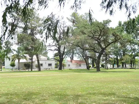 Mar del Plata e/ Pigue y Olavarría