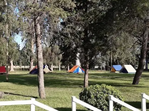 Mar del Plata e/ Pigue y Olavarría