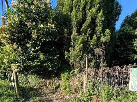 Terreno en Venta de 758,0 m2