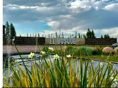 Lote en Venta, Rodeo del Medio, Maipú.