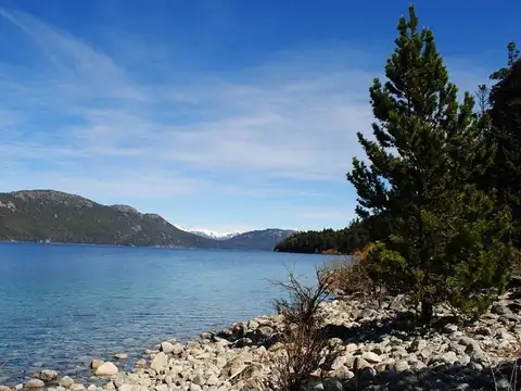 Ruta 40. Huemul km al 2000