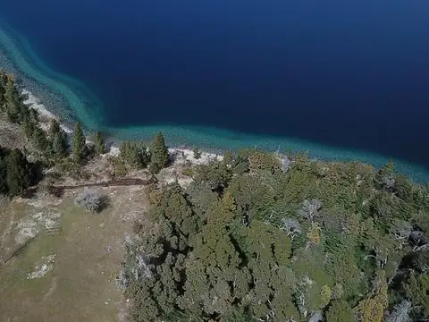 Ruta 40. Huemul km al 2000