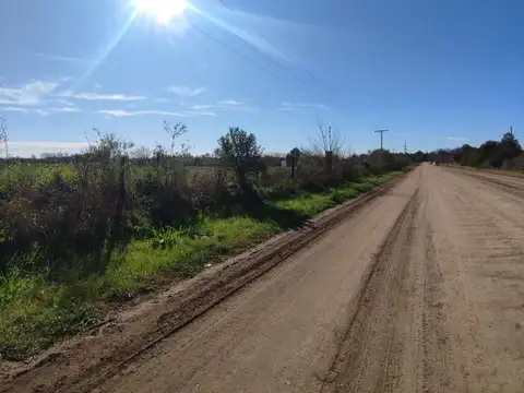 Alfredo Schilla 1215,