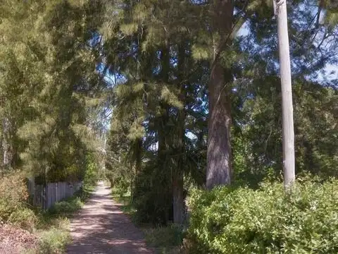 Terreno en venta - 338 mts2 - Arturo Seguí