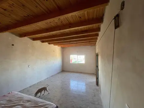 Chiara Lubich al 100